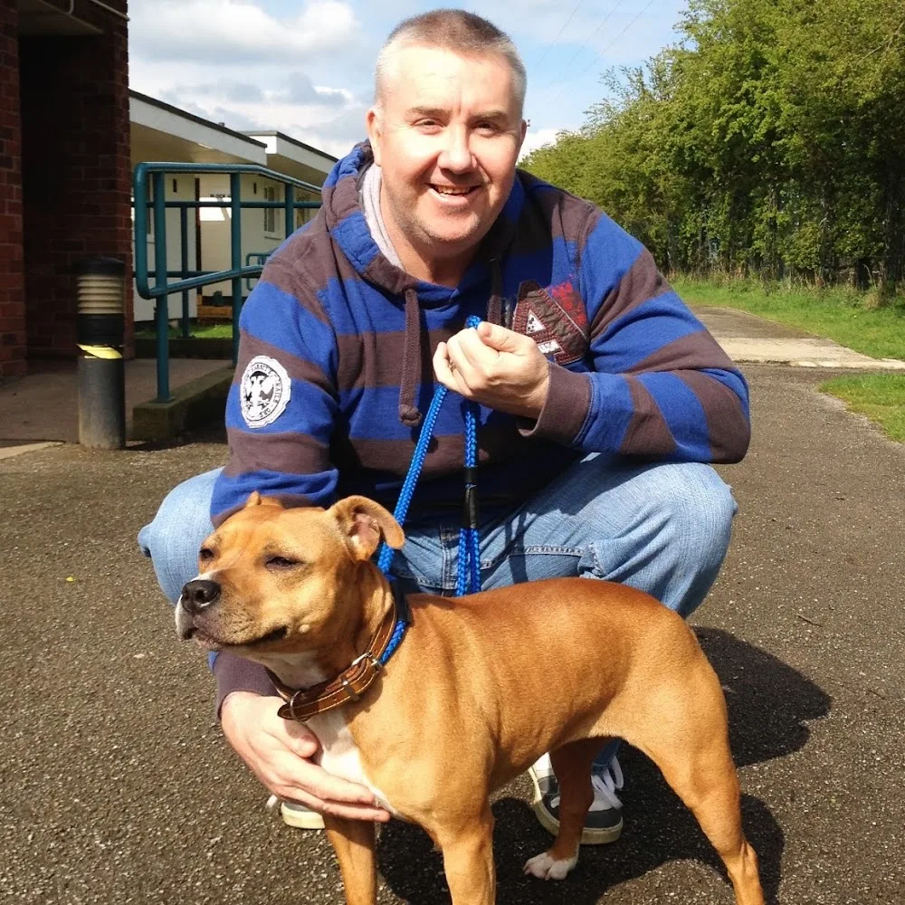 Man's best friend - Doncaster pet otel görseli 4