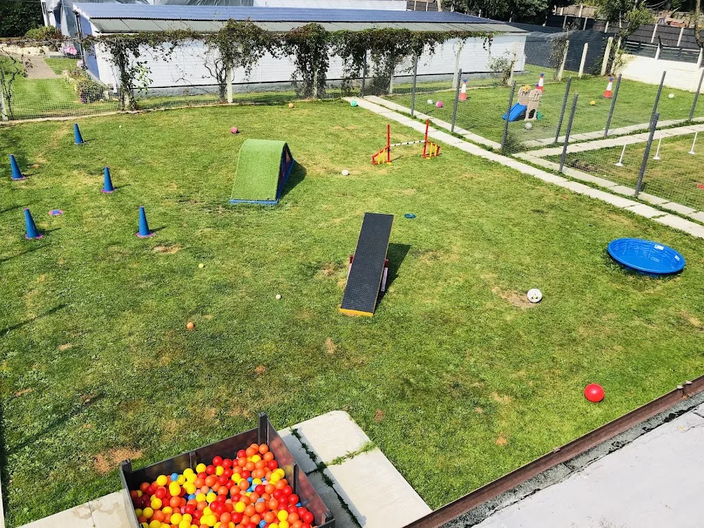 Oakwood Boarding Kennels & Cattery. - Doncaster pet otel görseli 3