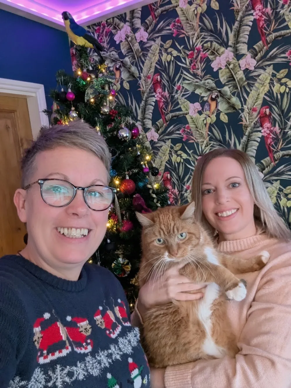 The Greenacres Cattery - Doncaster pet otel görseli 3