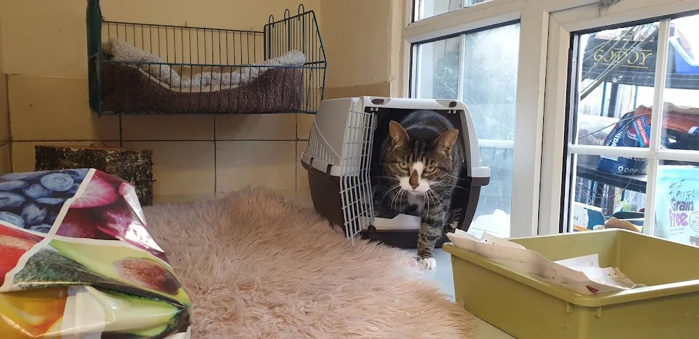 Amandas Kennels and cattery - Donegal pet otel