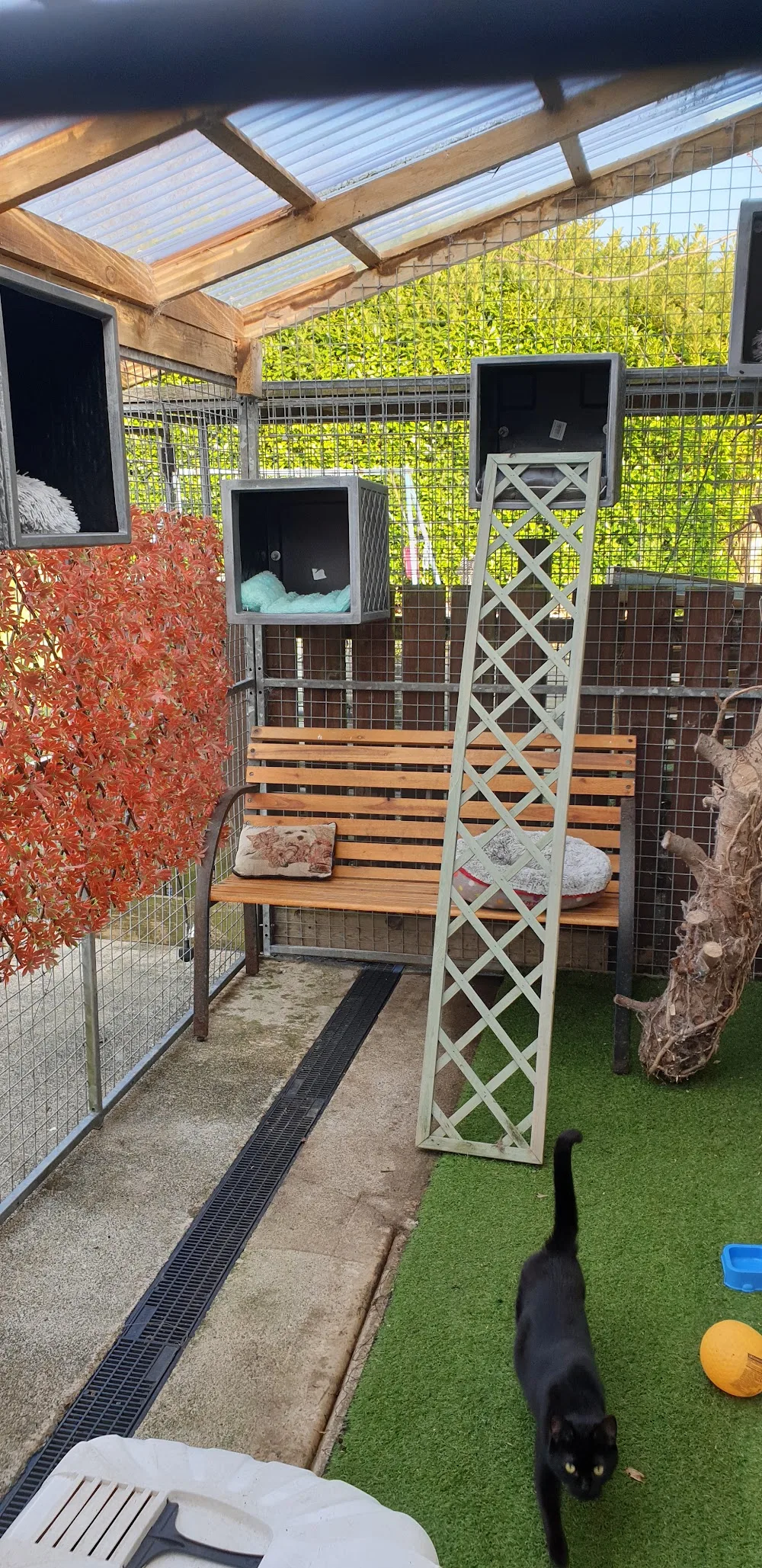 Amandas Kennels and cattery - Donegal pet otel görseli 3