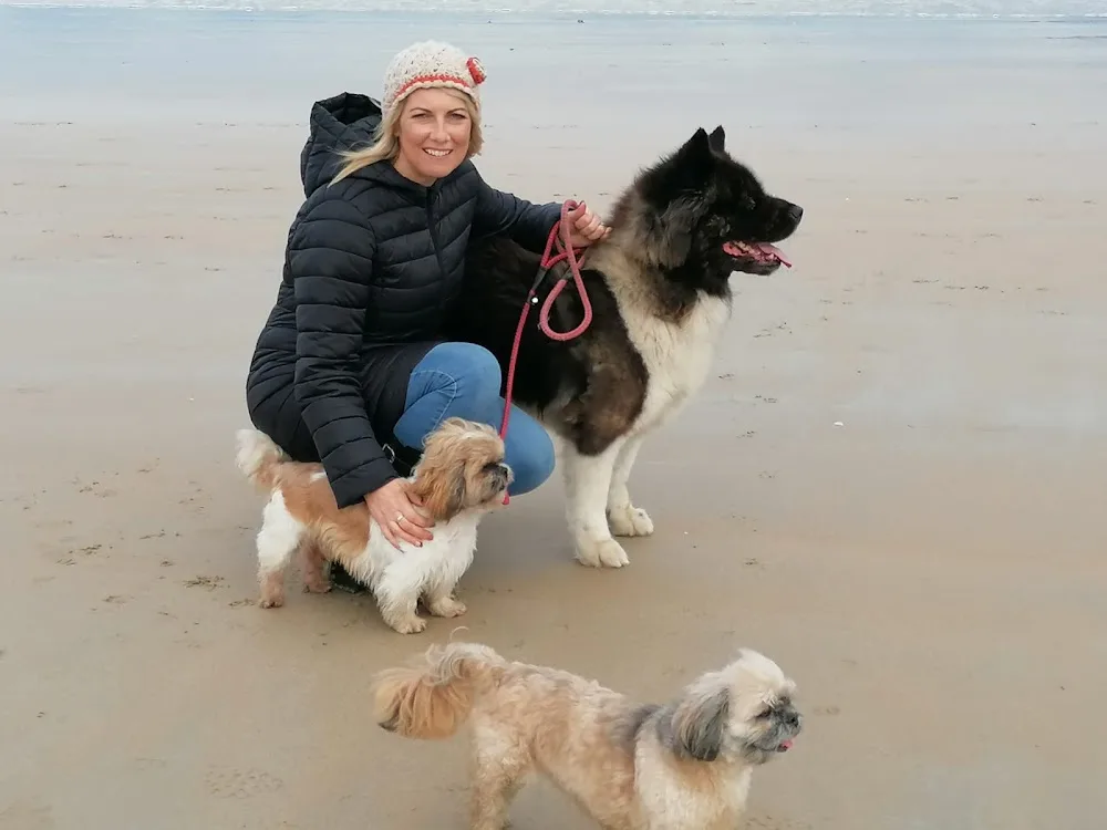 Four Paws Boarding Kennels - Donegal pet otel görseli 3
