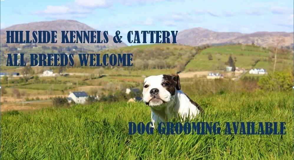 Hillside Kennels And Dog Grooming - Donegal pet otel
