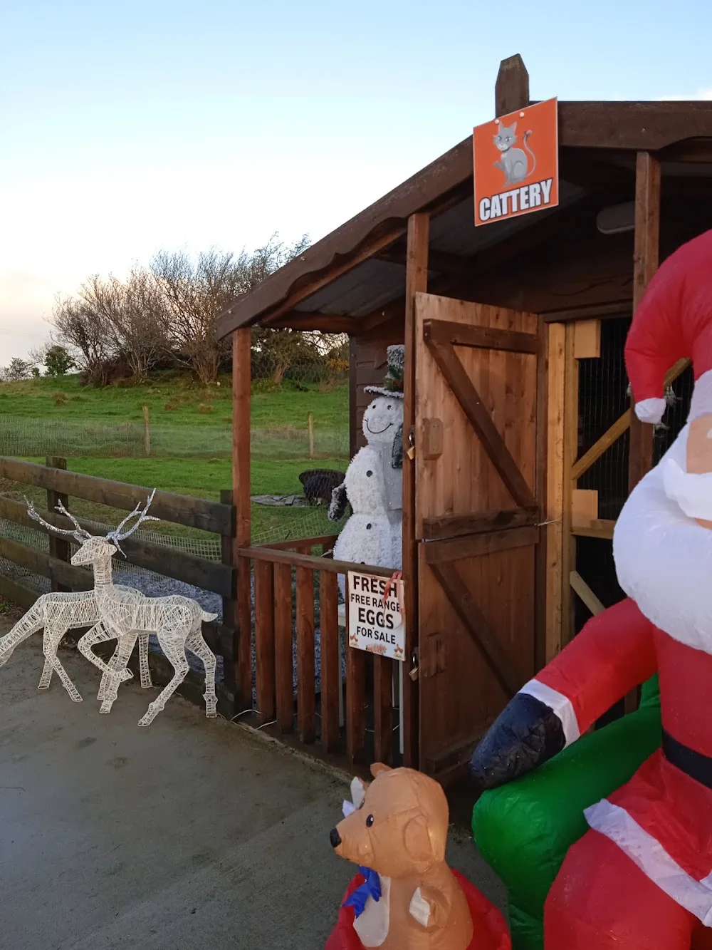 Kilross Boarding Kennels - Donegal pet otel görseli 3