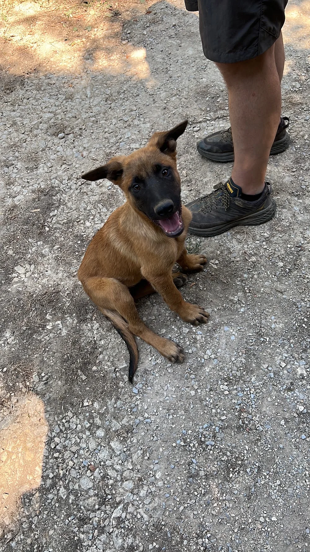 AU SERVICE DE VOS ANIMAUX - Dordogne pet otel