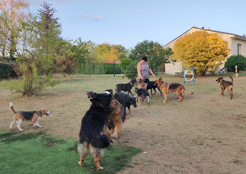 canin heureux "Chris' pension familiale canine" - Dordogne pet otel