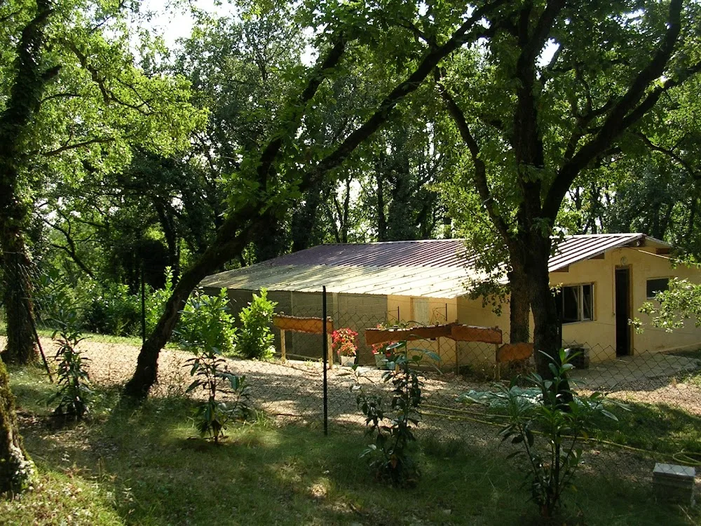 Domaine De La Chesnaie - Pension Canine - Dordogne pet otel