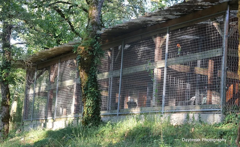Domaine De La Chesnaie - Pension Canine - Dordogne pet otel görseli 3