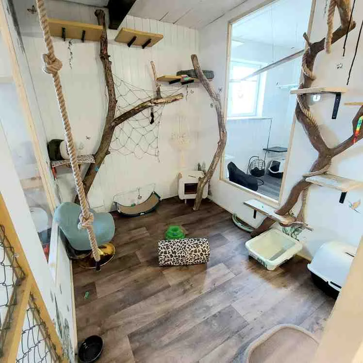 ECLAT AMBRE PENSION CHAT ET NAC - Dordogne pet otel