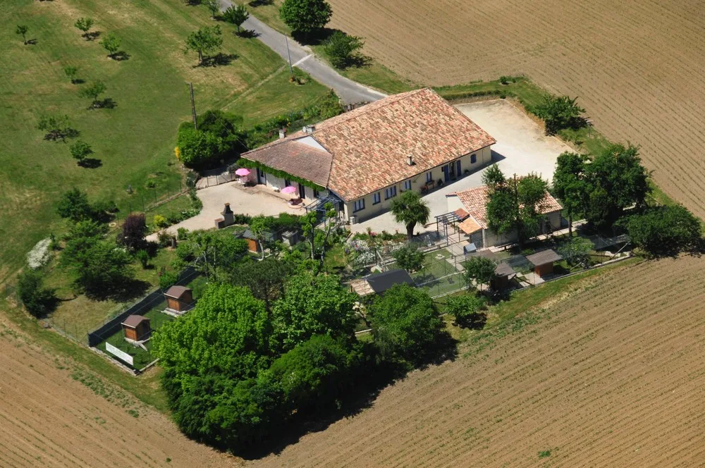 Eden Cats - pension féline du 47 - Dordogne pet otel görseli 2
