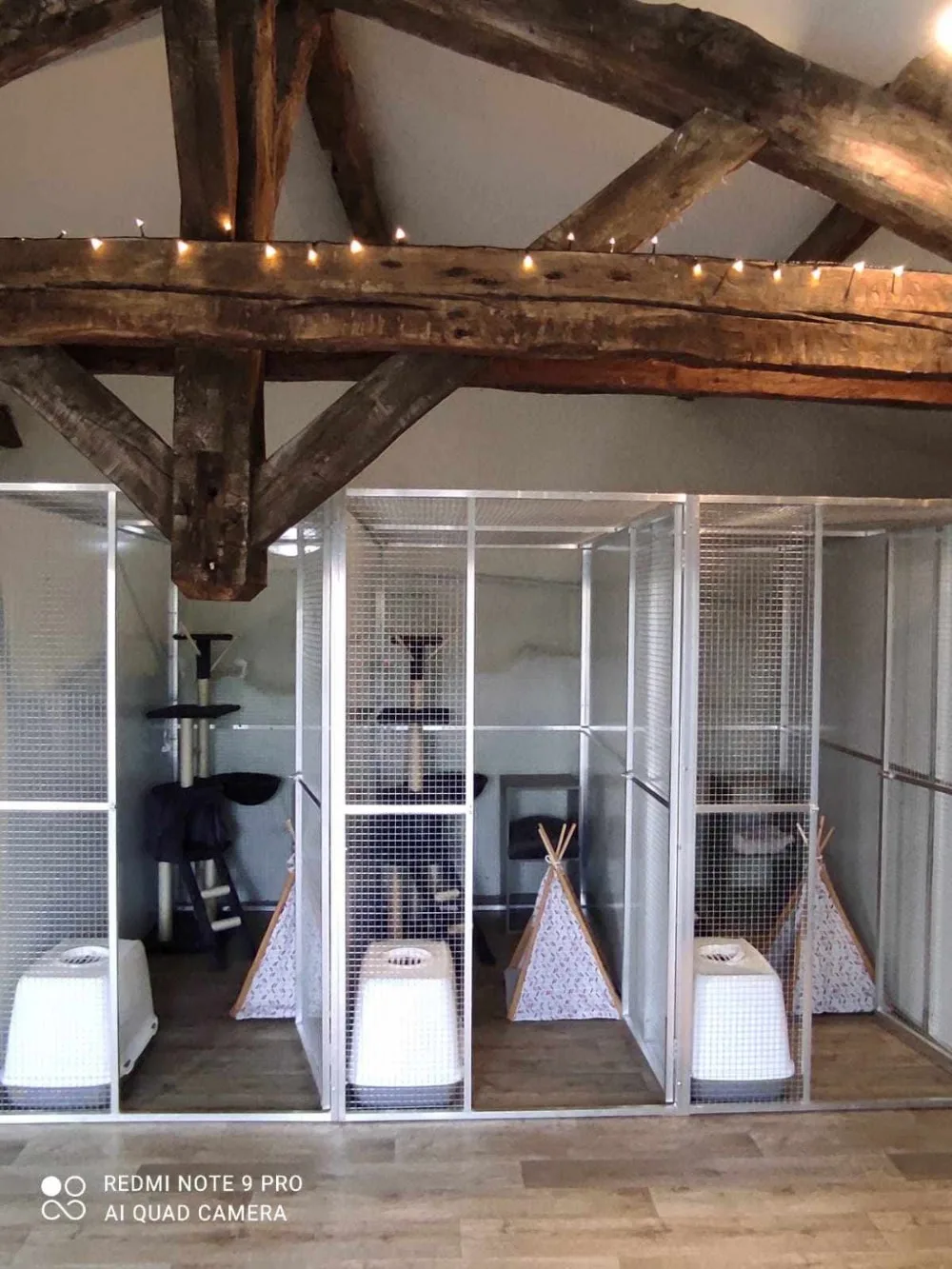 Kay Hina - Pension pour Chats & Pet Sitting - Dordogne pet otel görseli 3