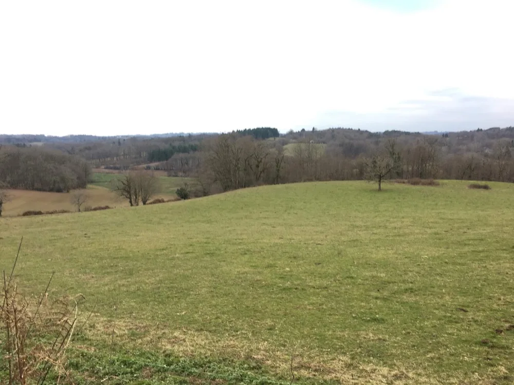 La Borie des 4 pattes - Dordogne pet otel görseli 3