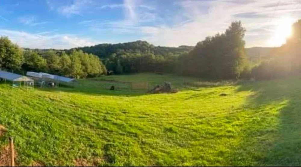la foret du bengal pension pour animaux à Saint bonnet la rivière - Dordogne pet otel