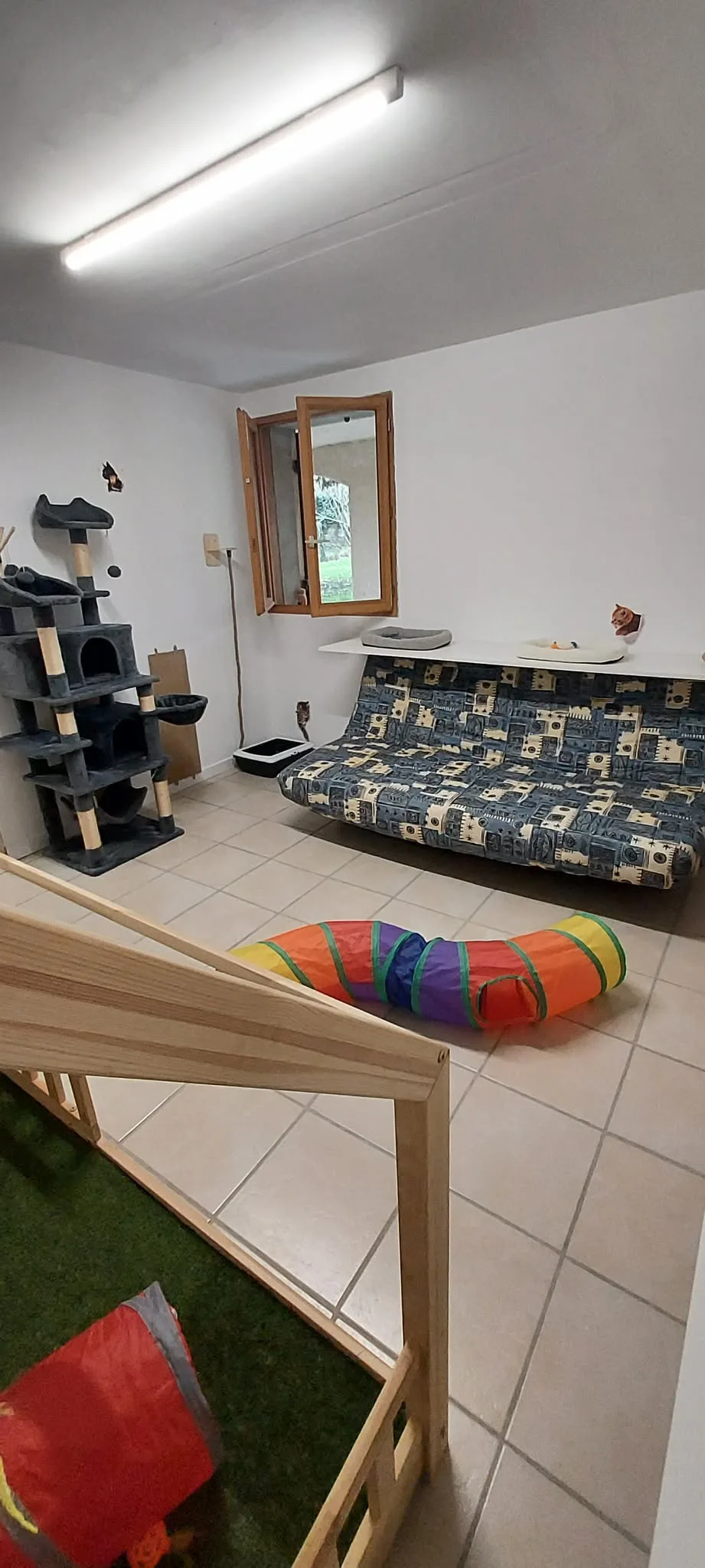 le vahalla des chats - Dordogne pet otel görseli 3