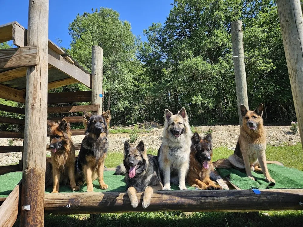 Les Gardiens des Quatre Pattes - Pension Familiale - Dordogne pet otel görseli 3