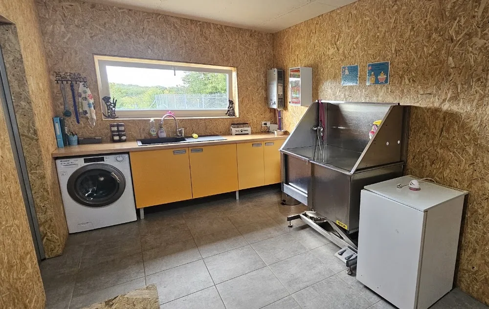 Les Poilus en Bouriane / Pension canine (accueil sur RDV) - Dordogne pet otel