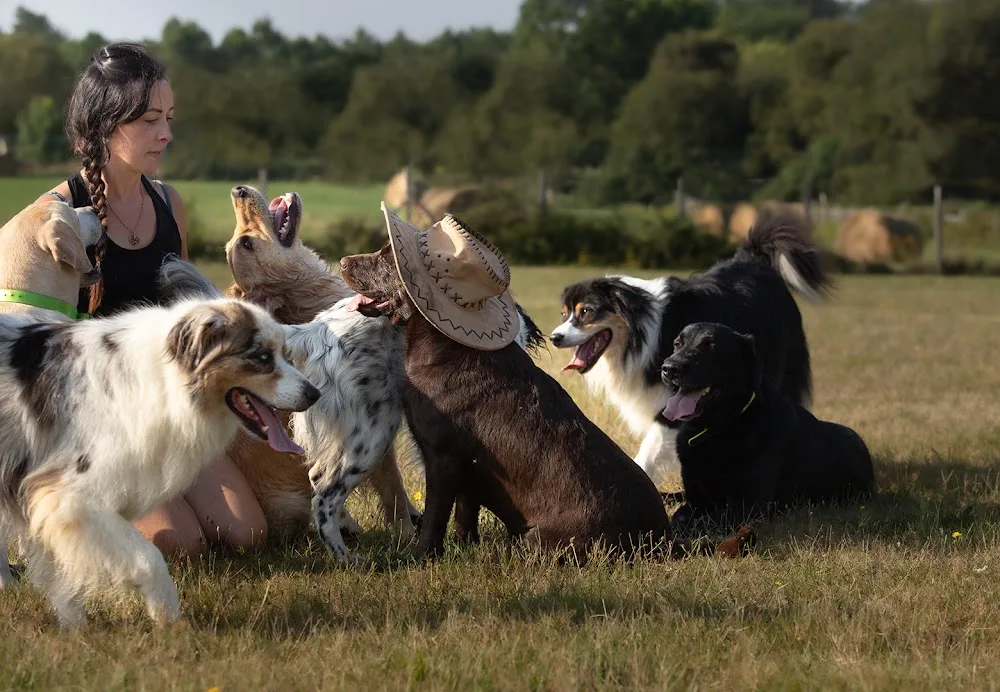O Ranch Canin - Dordogne pet otel görseli 2