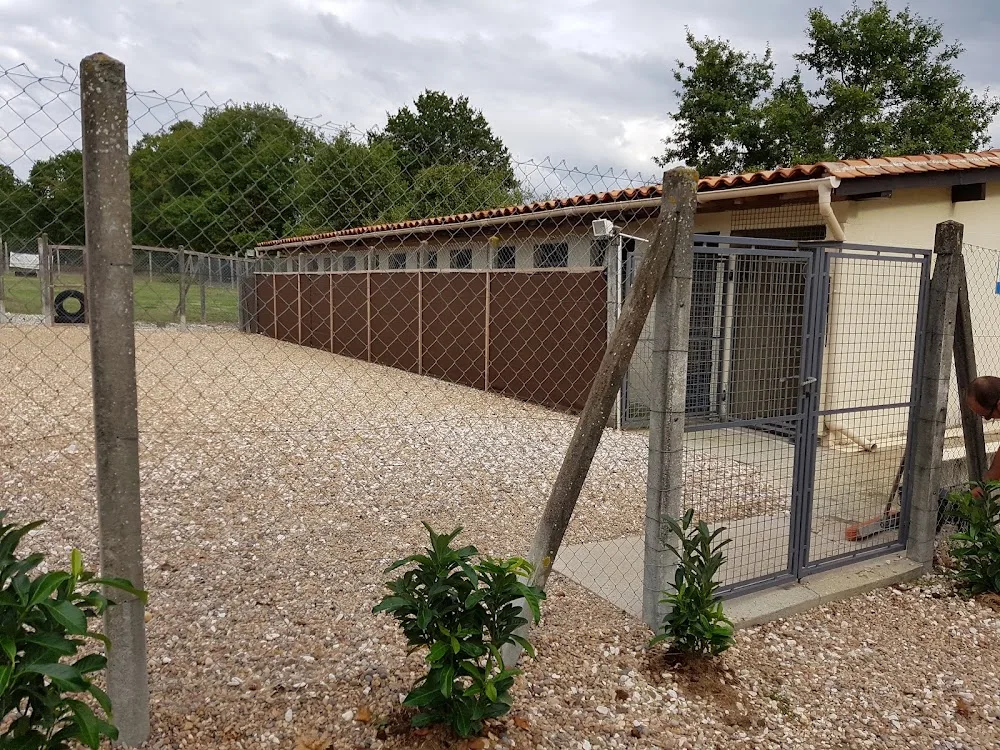 Pattes Et Griffes - Dordogne pet otel