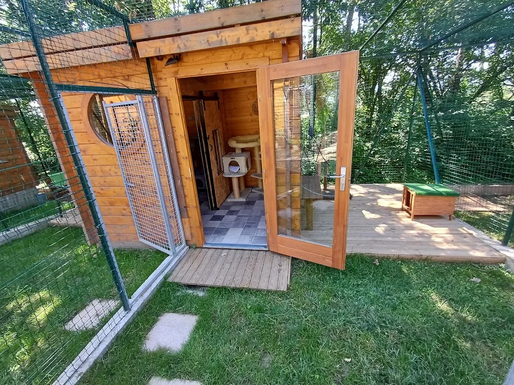 Pension féline de la Source - Dordogne pet otel