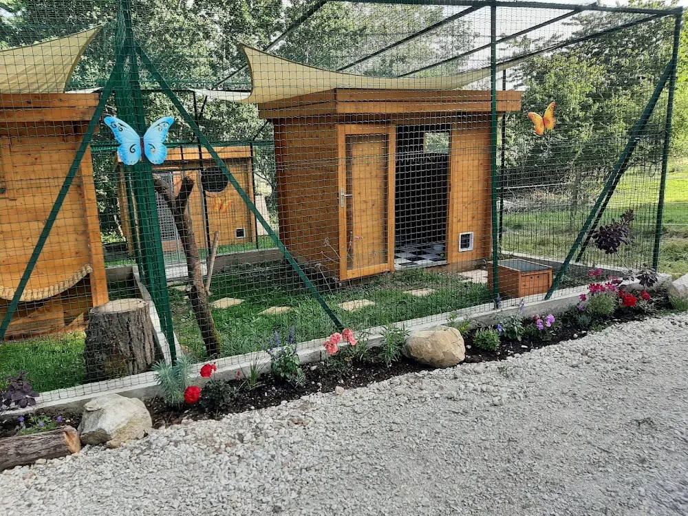 Pension féline de la Source - Dordogne pet otel görseli 3