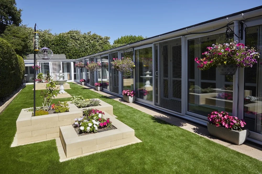 Bournemouth Boarding Cattery Ltd - Dorset pet otel