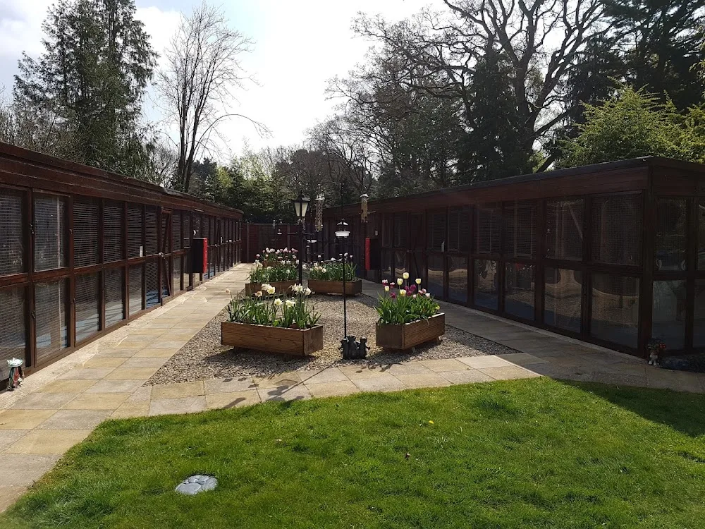 Ferndown Catery - Dorset pet otel