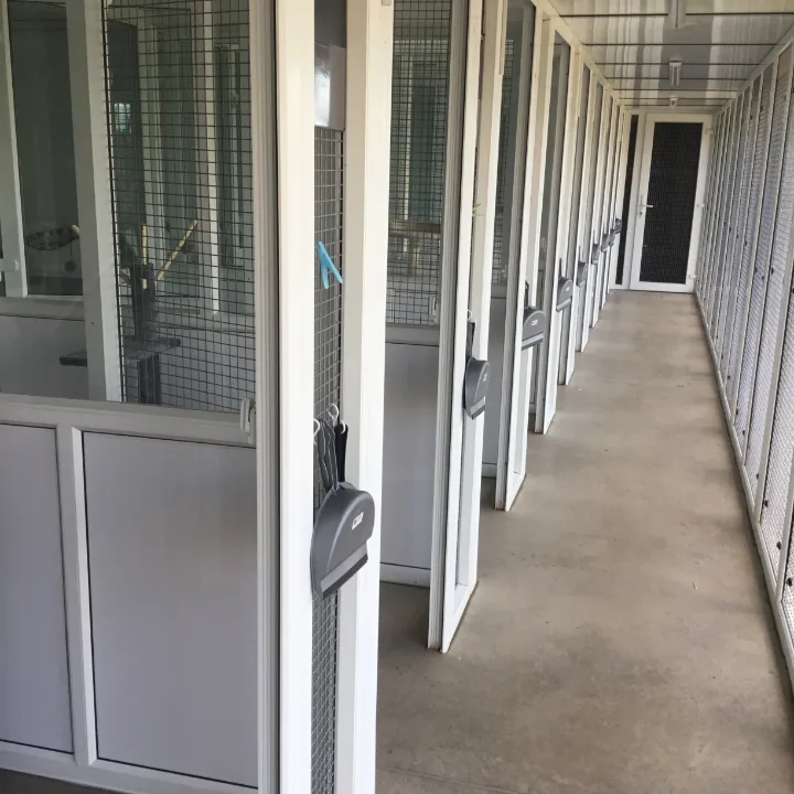 Fouts Cross Farm Cattery - Dorset pet otel