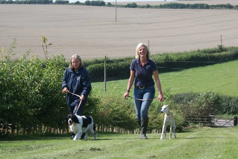 Hillcrest Kennels & Cattery - Dorset pet otel görseli 2