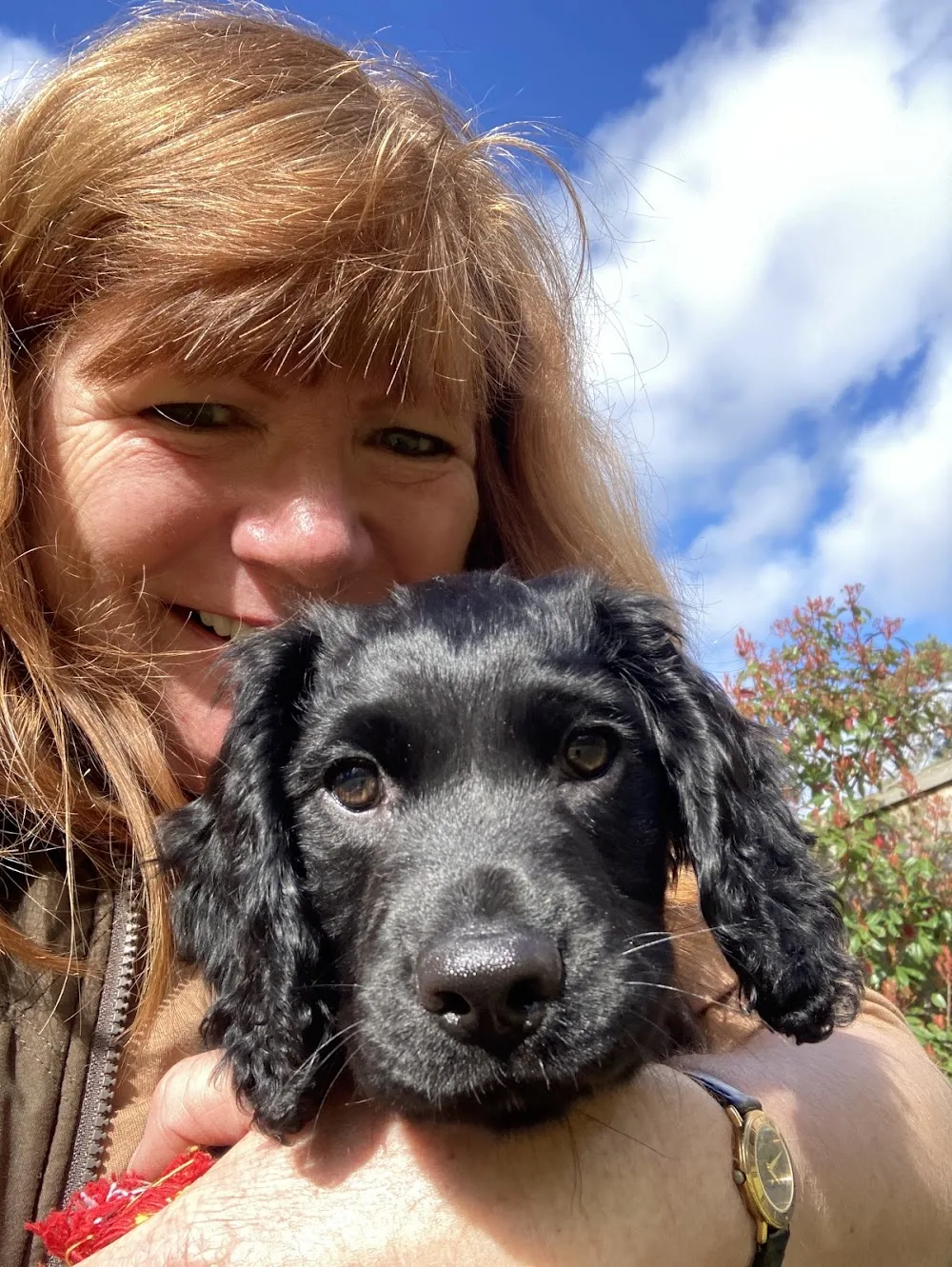 Karen's Petcare Services - Dorset pet otel görseli 3