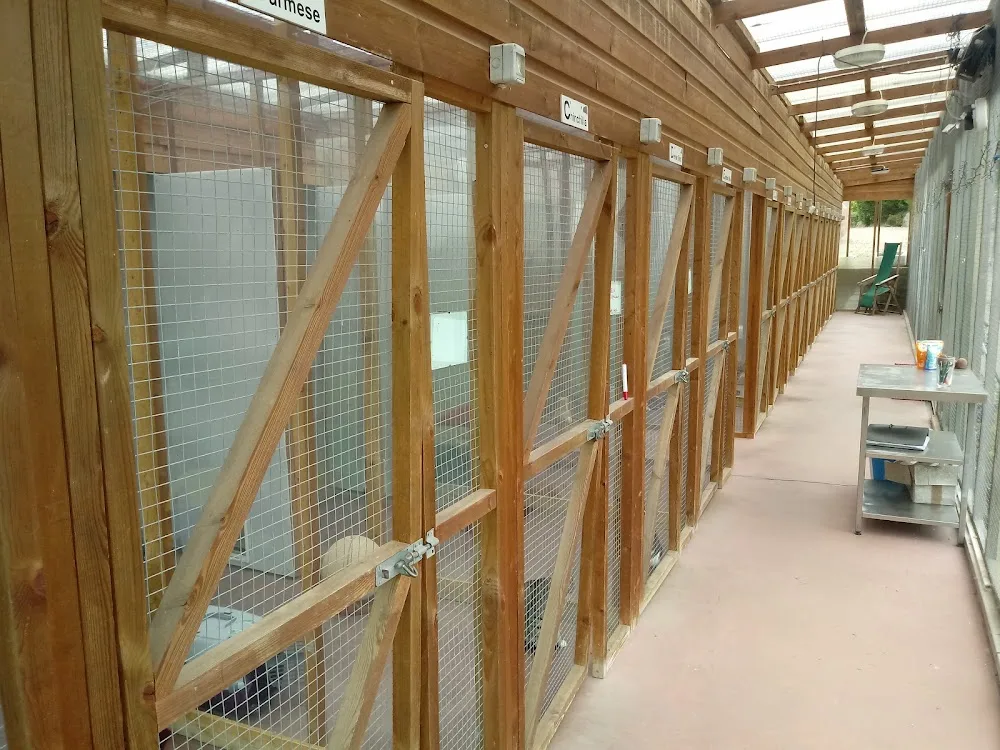Laburnham Kennels & Cattery - Dorset pet otel görseli 2