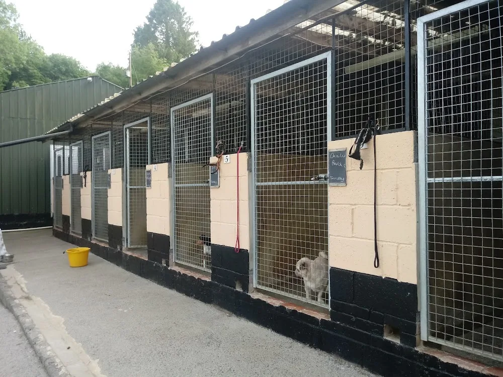 Laburnham Kennels & Cattery - Dorset pet otel görseli 3