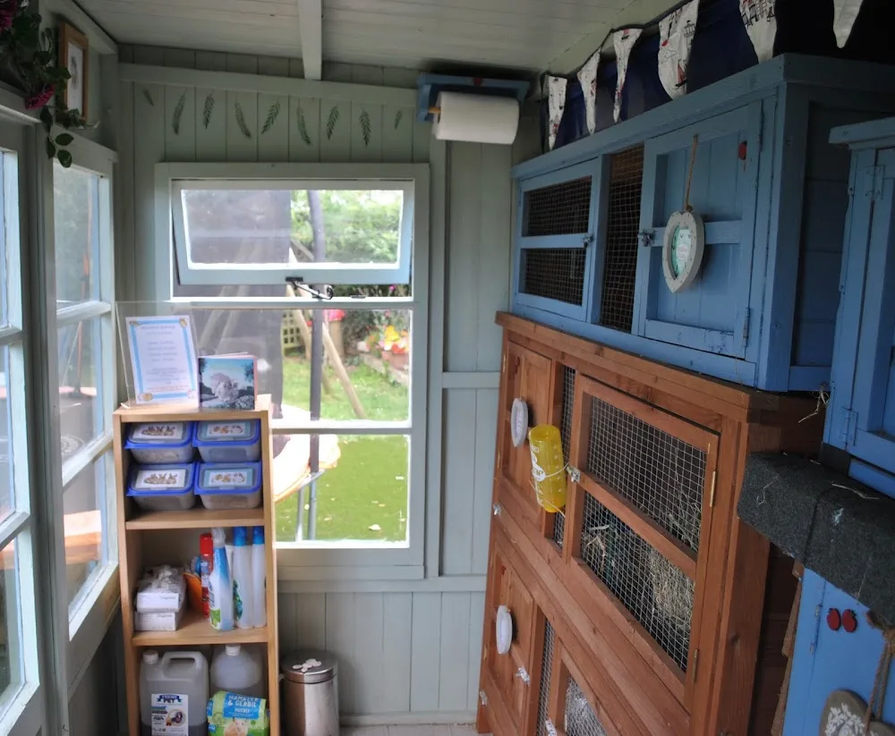 Moonfleet Pet Boarding (rabbits, guinea pigs) - Dorset pet otel görseli 2