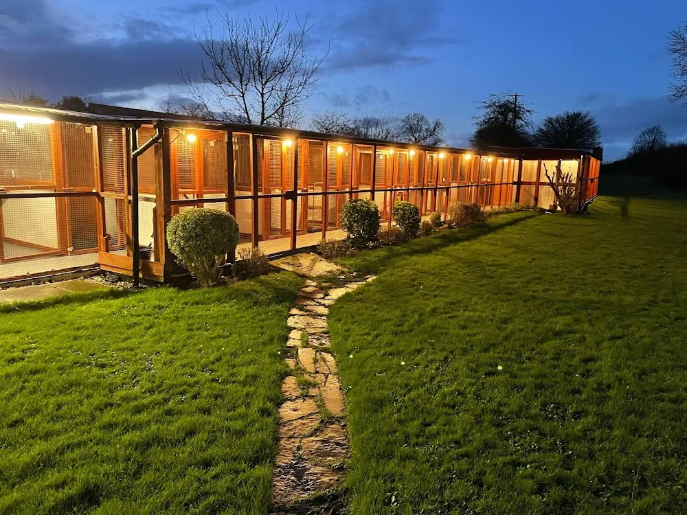 Muchelney Cattery - Dorset pet otel görseli 3