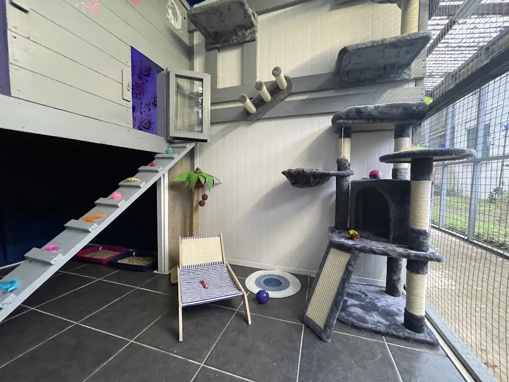 New Forest Kennels and Cattery - Dorset pet otel görseli 2