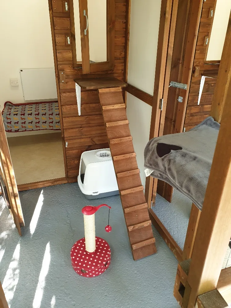 Purrfect Paws Boarding Cattery - Dorset pet otel görseli 2