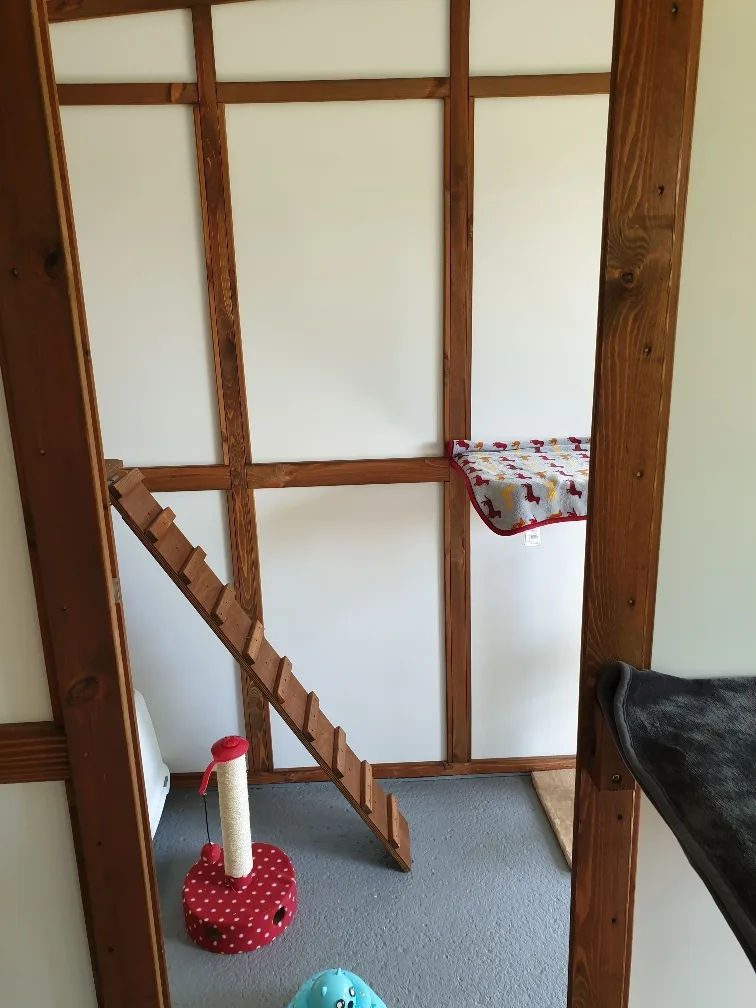 Purrfect Paws Boarding Cattery - Dorset pet otel görseli 3