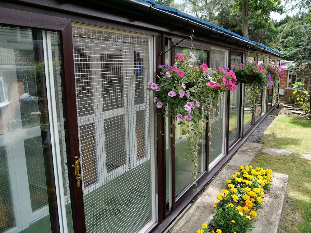 The Log Cabin Cattery - Dorset pet otel