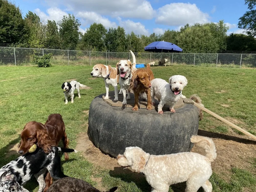 West Burton Kennels - Dorset pet otel
