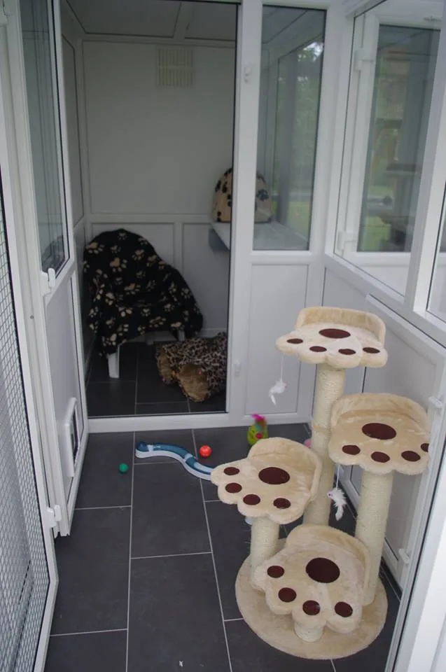 Yeovil Deluxe Cattery - Dorset pet otel görseli 3