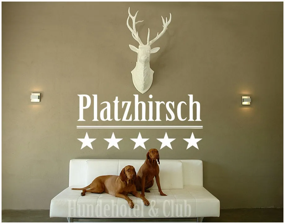 Hundehotel Platzhirsch - Essen - Dorsten pet otel