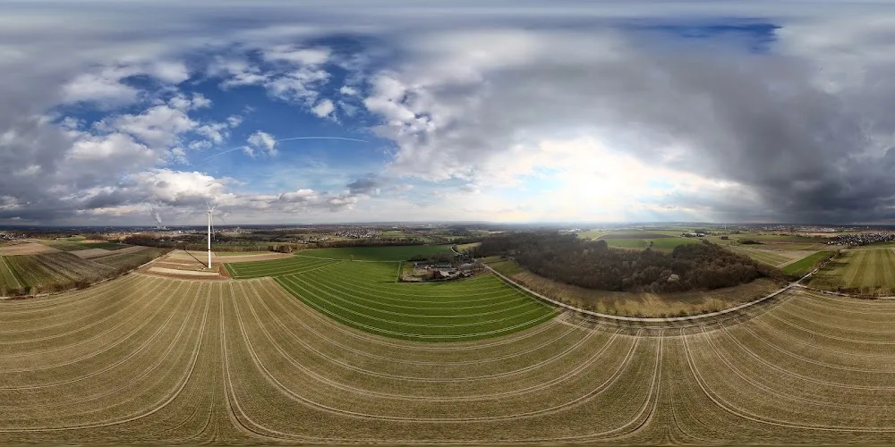Peacock's Manor - Hundepension & Hundetagesstätte - Dorsten pet otel görseli 3