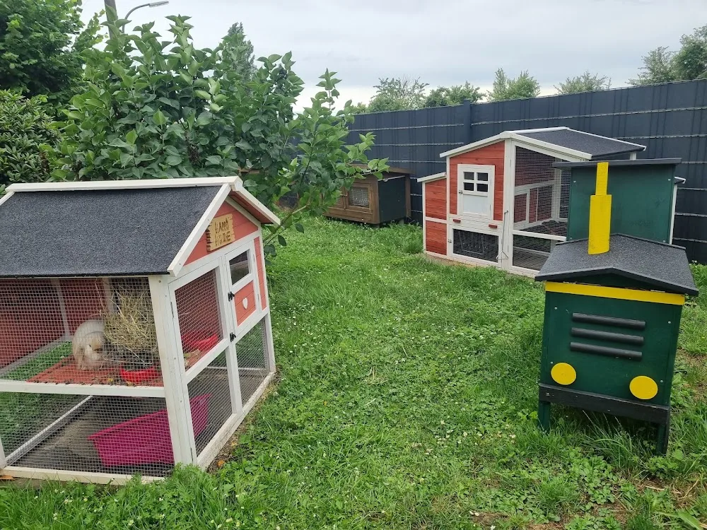 Tierpension Landeckshof - Dorsten pet otel görseli 3