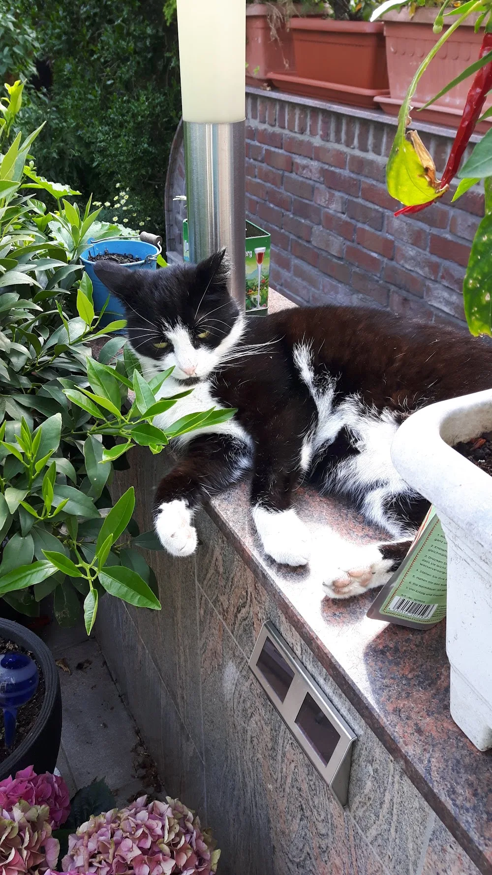 Tierpension Tipp - Dorsten pet otel