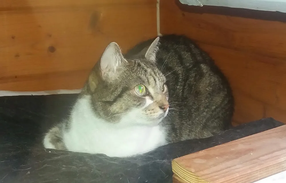 Tierpension Villa Animale - Dorsten pet otel