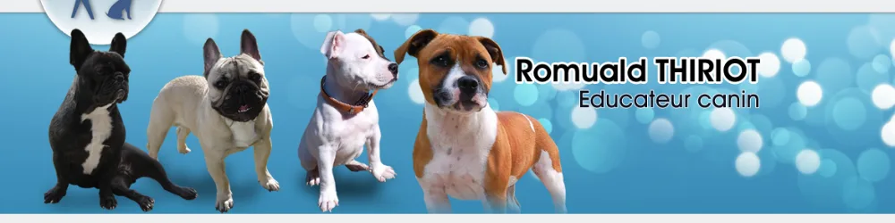 Educ'Services Romuald Thiriot - Pension canine Doubs - Doubs pet otel