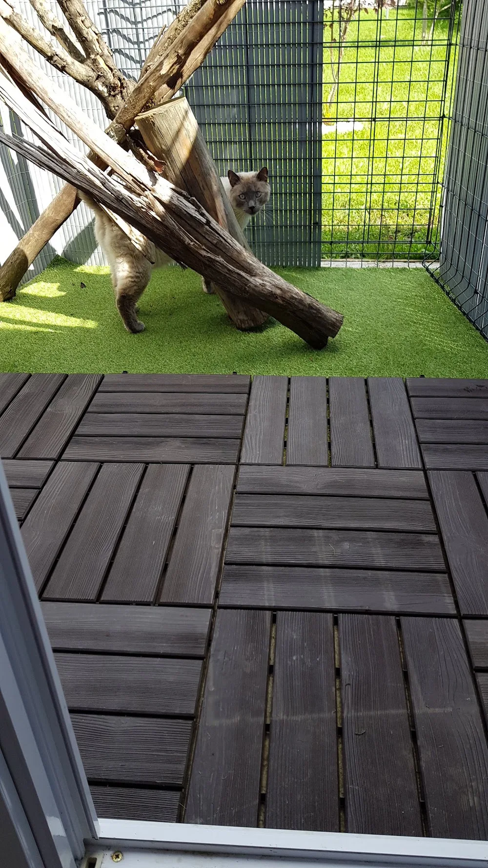 Haut Doub's Chatouilles - Doubs pet otel