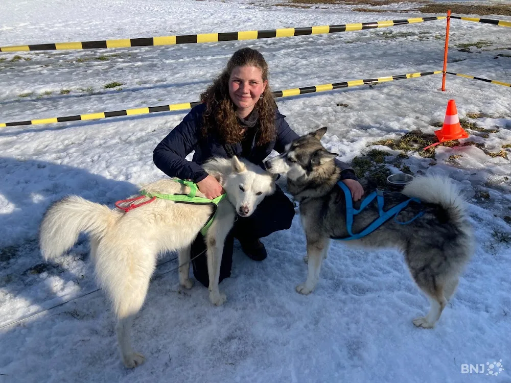 huskys et educ. - Doubs pet otel görseli 3
