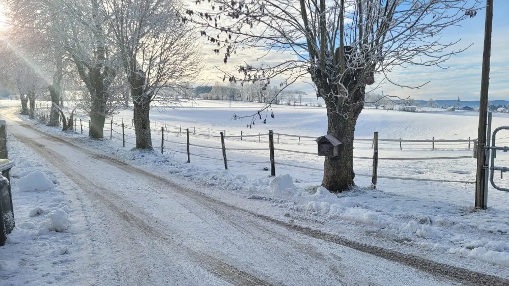 La Pension sur Pattes - Doubs pet otel