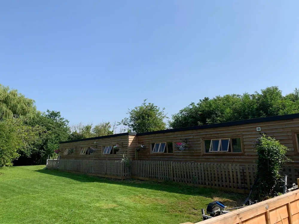 Ali Cats Cattery - Downham Market pet otel