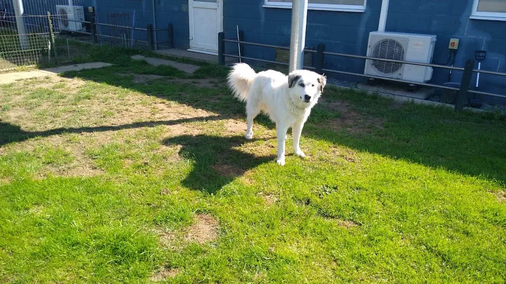 Denver Kennels - Downham Market pet otel